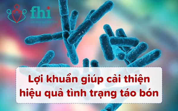 bifidobacterium lợi khuẩn