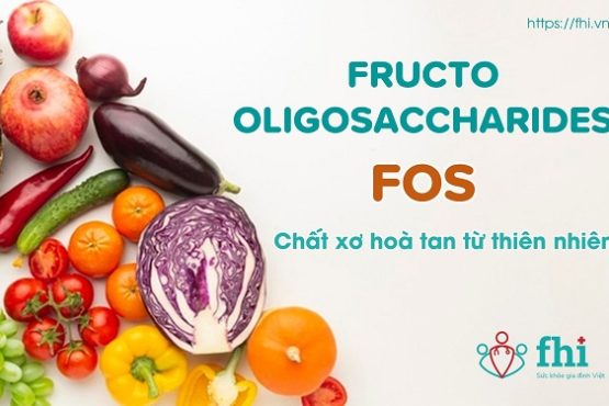 FOS (Fructooligosaccharides) – Tổng quan 8 điều cần biết